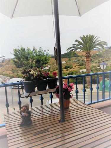 Apartamento Casa Herminia