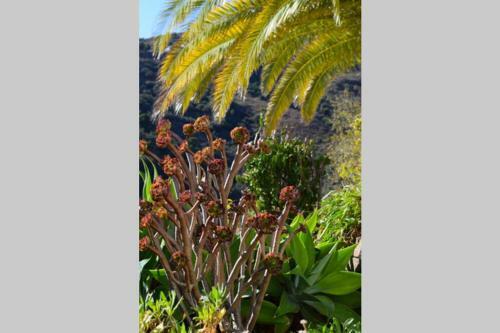 Apartamento El Quinto Pino, Frigiliana