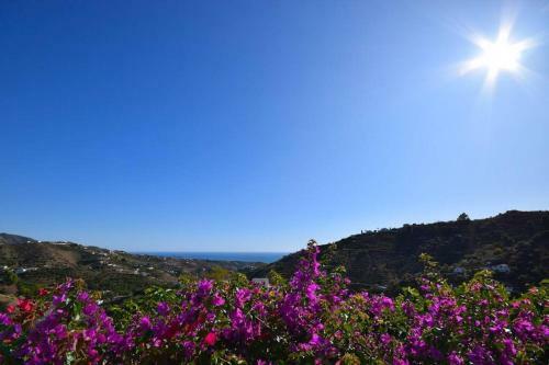 Apartamento El Quinto Pino, Frigiliana