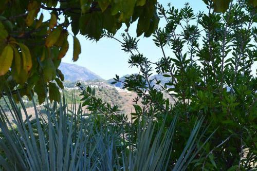 Apartamento El Quinto Pino, Frigiliana