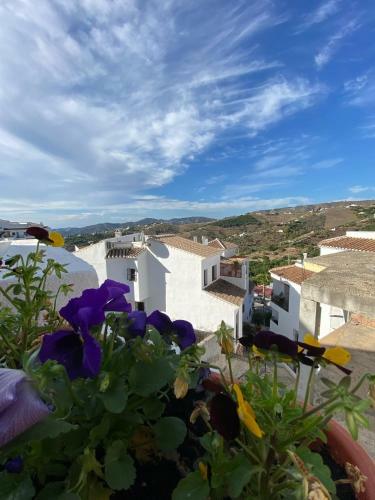 Apartamento Confortable Casa R�stica Reci�n Renovada