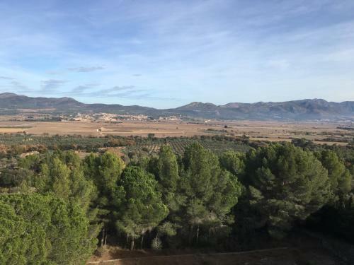 Campo La Carena