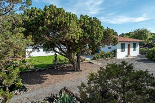Las Sabinas Villa - El Guincho, Garachico