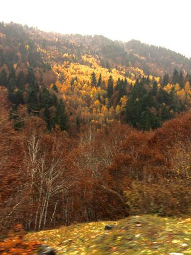 Apartamento Dulce Y Luminoso Ap. En Baqueira
