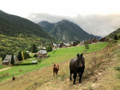 Espacioso Apartamento En El Naut Aran