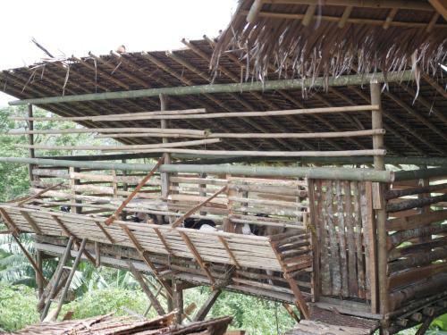 Hostal Gunung Dago Resort Bogor Syariah