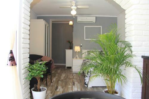 Apartamento Milka Gandia Marchuquera