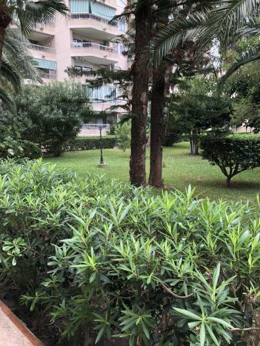 Apartamento Parque 2 Gand�a
