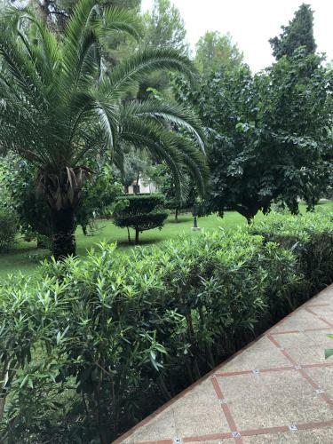Apartamento Parque 2 Gand�a