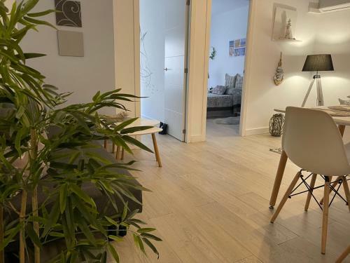 Apartamento Nav�o