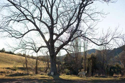 Agroturismo Can Blanc De Vilacireres