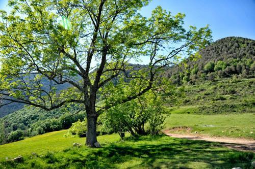Agroturismo Can Blanc De Vilacireres