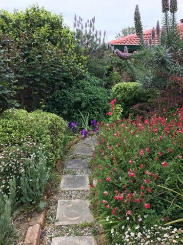 Admurraya House Bed & Breakfast