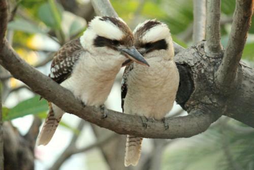 Cedar Lodge Motel