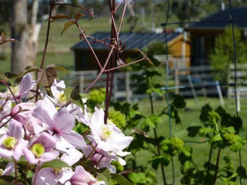 Villa Hazelcreek Cottages