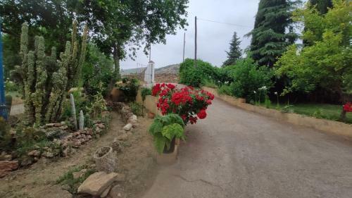 Vivienda Tur�stica La Huerta