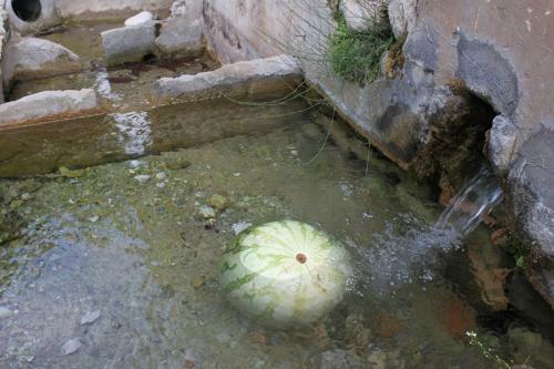 Agroturismo El Molinet Del Governador