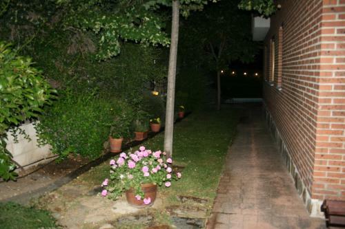 Chalet Con Encanto