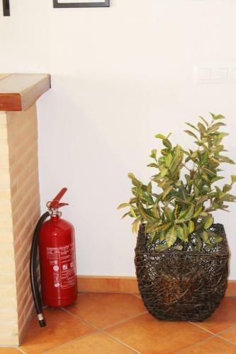 Apartamento Un Para�so En Grazalema