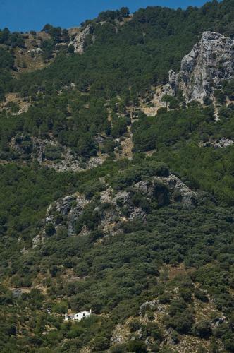 Villa Los Cerezos