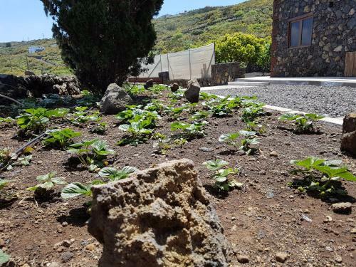 Finca La Sabina