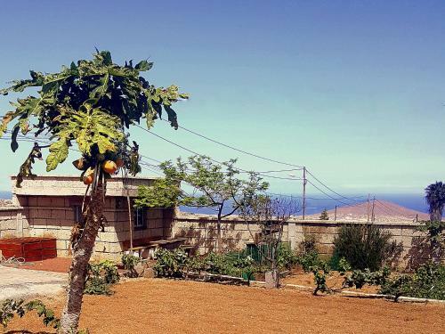 Casa Del Sur, En El Sur De Tenerife