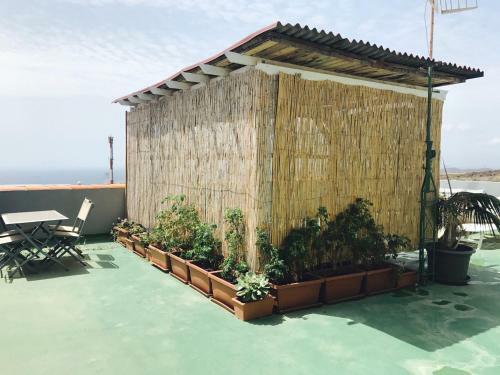 Hostal Wifi Tenerife Sur Guest House