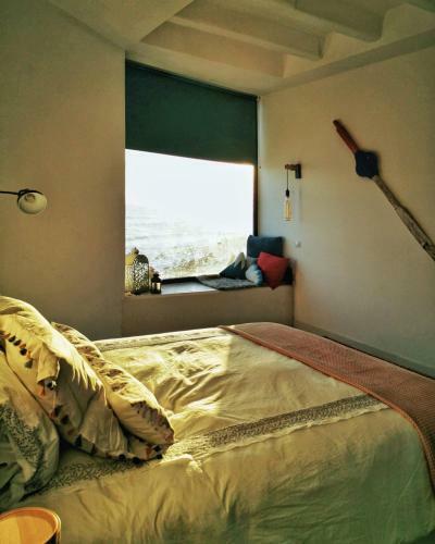 Circo Wave. Un Sue�o En El Mar.