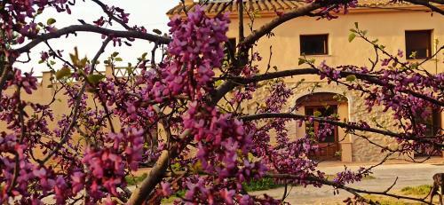 Apartamento Can Costals Naturaleza