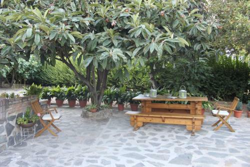 Apartamento Olivillas Garden