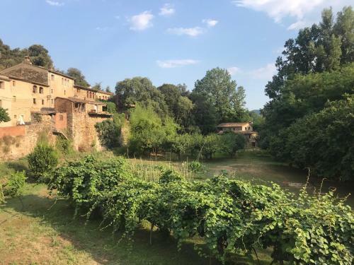 Casa de Pueblo En La Naturaleza