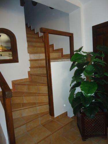 Agroturismo Casa De Campo Morera