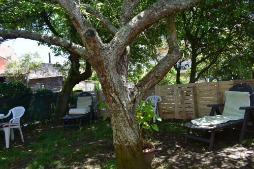 Apartamento Jardin, Terraza Y Barbacoa