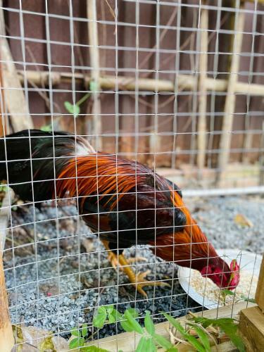 Apartamento Nh� C?a Ng?ng - Goose Home