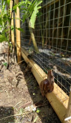 Apartamento Nh� C?a Ng?ng - Goose Home
