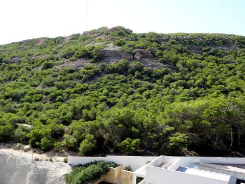 Guardamar Hill Sea View Apartment