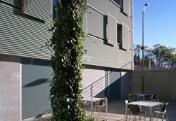 Residencia Torre Girona