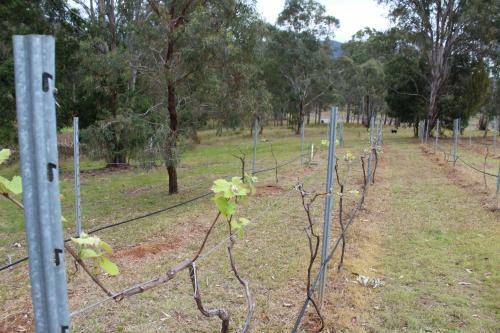 Hostal Elfin Hill Country Accommodation