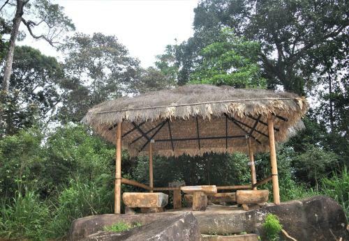 Rainforest Edge View Villa