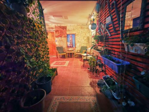 Shafika House