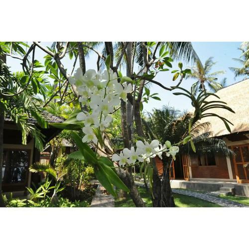 The Ning Beach Front Villa