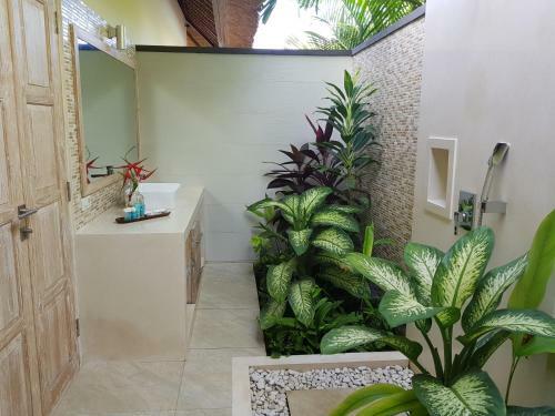 Hotel Inbalance Resort
