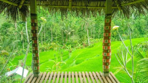 Buda's Homestay Lemukih