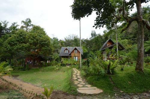 Lodge Canyon Jungle Stay