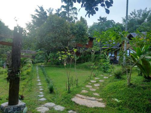 Lodge Canyon Jungle Stay