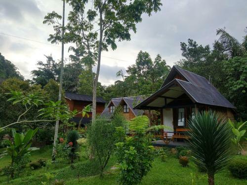 Lodge Canyon Jungle Stay