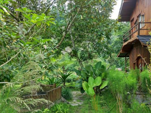 Lodge Canyon Jungle Stay
