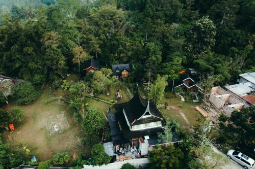 Lodge Canyon Jungle Stay