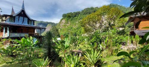 Lodge Canyon Jungle Stay