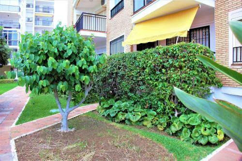 Apartamento Fuengirola Playa 1a L�nea